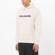 Muška dukserica Salomon Logo Hoodie M