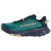 Muške tenisice za trčanje The North Face M Altamesa 300 V2 plava PACIFIC TEAL/MIDNIGHT S