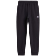 Muške trenerke The North Face M Evolution Simple Dome Regular Jogger crna TNF BLACK