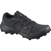Muška obuća Salomon Wildcross GTX crna Black