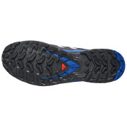 Muške tenisice za trčanje Salomon Xa Pro 3D V9 GTX Icon