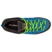 Muške cipele Salewa Ms Mtn Trainer Lite