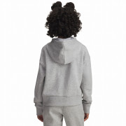 Dječja dukserica Under Armour Rival Fleece Crop Hoodie