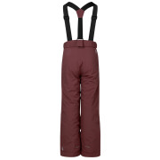 Dječje zimske hlače Dare 2b Outmove III Insulated Pant Huckleberry