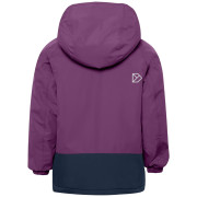 Dječja zimska jakna Didriksons Talvi Kids Jkt 2 Northen Purple
