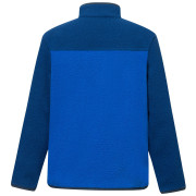 Dječja funkcionalna dukserica Regatta Junior Frankie Warm Fleece Aviator Blue