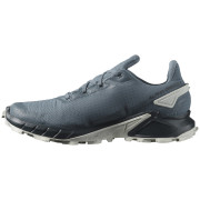 Muške tenisice za trčanje Salomon Alphacross 4 Gore-Tex
