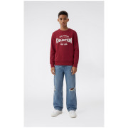 Dječja dukserica Champion Crewneck Sweatshirt B GMS