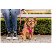 Povodac za psa Curli Stretch Comfort Leash