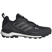 Muške cipele Adidas Terrex Skychaser 2