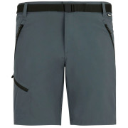 Muške kratke hlače Regatta Xert Stretch Shorts siva Dark Storm