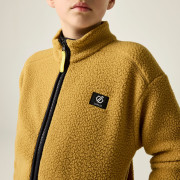 Dječja dukserica Dare 2b Zesty II Fleece Wood Brown