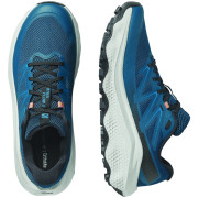 Muške cipele Salomon Ultra Flow 2