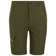 Dječje hlače Regatta Sorcer Z/O Trousers III Treetop