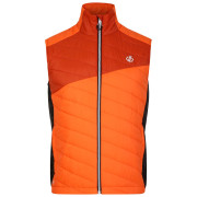 Muški prsluk Dare 2b Touring Gilet narančasta Puffins Orange/Rooibos Tea