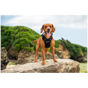 Ogrlica za psa Mountain Paws Dog Harness