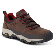 Ženske cipele Regatta Womens Blake Low