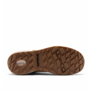Muške trekking cipele Columbia Newton Alpine Pt™