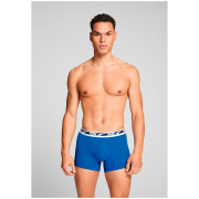 Muške bokserice Puma Everyday Multi Logo Boxers 2P