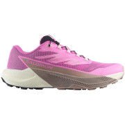 Ženske cipele Salomon Pulsar