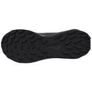 Ženske cipele Salomon Alphaglide Gore-Tex