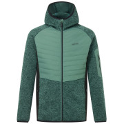Muška hibridna jakna Regatta Newhill Hybrid zelena/crna DkFrstGr/Blk