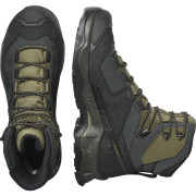 Muške cipele Salomon Quest Element Gore-Tex