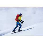 Muške hlače Direct Alpine Couloir Plus 1.0 (2019)