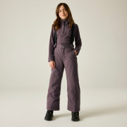 Dječje zimske hlače Dare 2b Outmove III Insulated Pant Huckleberry