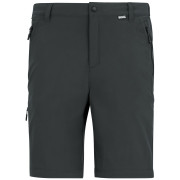 Muške hlače Regatta Anti-Insect Travel Light Z/O Trousers