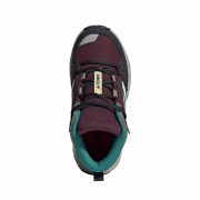 Dječja obuća Adidas Terrex Ax4R R.Rdy M Red