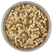 Dehidrirana hrana Lyo food Creamy Mushroom Soup