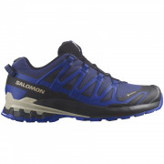 Muške cipele za planinarenje Salomon Xa Pro 3D V9 Gore-Tex plava