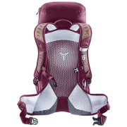 Ženski ruksak Deuter AC Lite 22 SL
