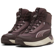 Dječja obuća Puma Puma Evolve 2.0 Boot PS Rich Cocoa-Powde