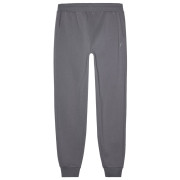 Muške trenerke 4F Trousers M0943 siva Grey