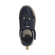 Dječja obuća Adidas Terrex Anylander Mid Climaproof Blue