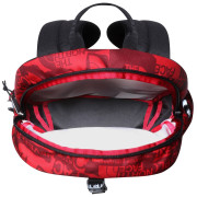 Dječji ruksak  The North Face Youth Mini Recon