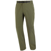 Muške hlače Salomon Wayfarer 2.0 Pants M zelena Grape Leaf