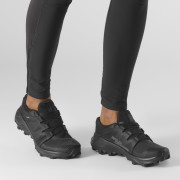 Ženske cipele Salomon Wildcross Gtx