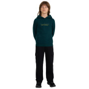 Dječja dukserica 4F Sweatshirt M1959