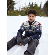 Muški džemper Dale of Norway Vail Masc Sweater