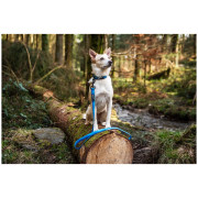 Povodac za psa Mountain Paws Waterproof Dog Lead