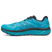 Muške tenisice za trčanje Scarpa Spin Infinity