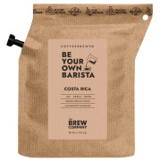 Kava Grower´s cup Costa Rica