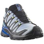 Salomon Xa Pro 3D V9 GTX Icon