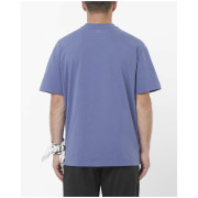 Muška majica Salomon Wild Rays Label SS Tee