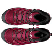 Ženske cipele Scarpa Maverick GTX WMN