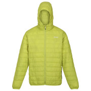 Muška zimska jakna Regatta Hooded Hillpack tamno zelena Green Algae