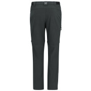 Muške hlače Regatta Anti-Insect Travel Light Z/O Trousers siva Ash
